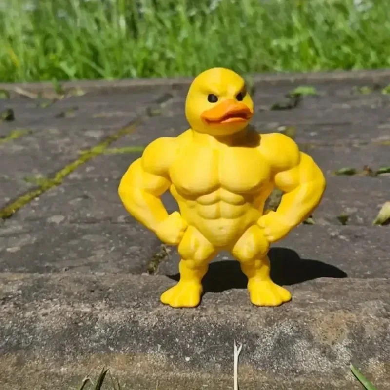 Muscle Duck Statue - 3D Deskto - Art Craft Duck 评论和价格