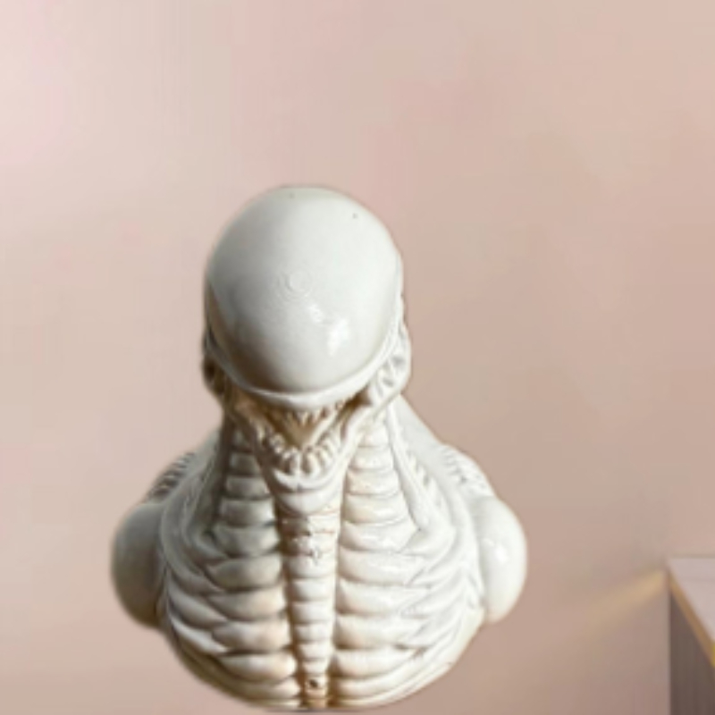 Fantastical and Creative Alien - Art Craft Duck 评论和价格